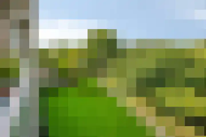 Frans Halslaan 191 Oegstgeest thumbnail 28