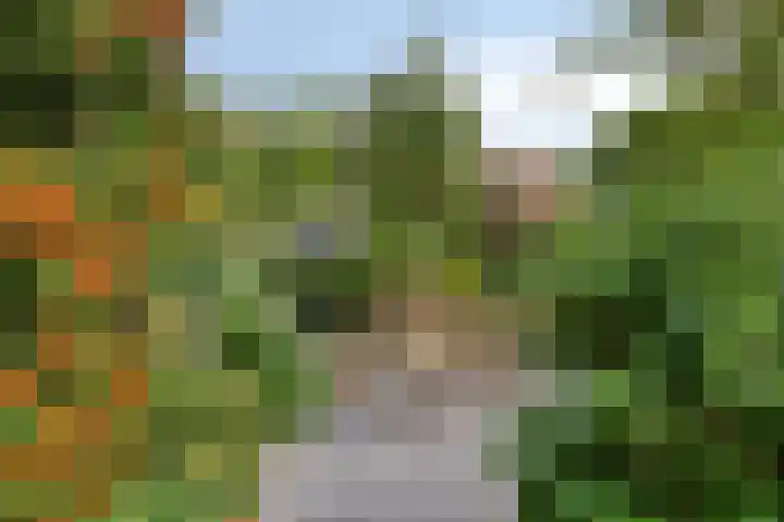 Frans Halslaan 191 Oegstgeest thumbnail 30