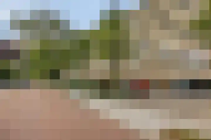 Frans Halslaan 191 Oegstgeest thumbnail 33