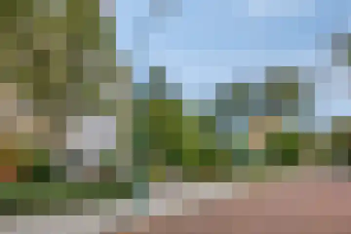 Frans Halslaan 191 Oegstgeest thumbnail 34
