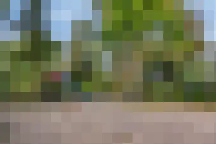 Frans Halslaan 191 Oegstgeest thumbnail 38