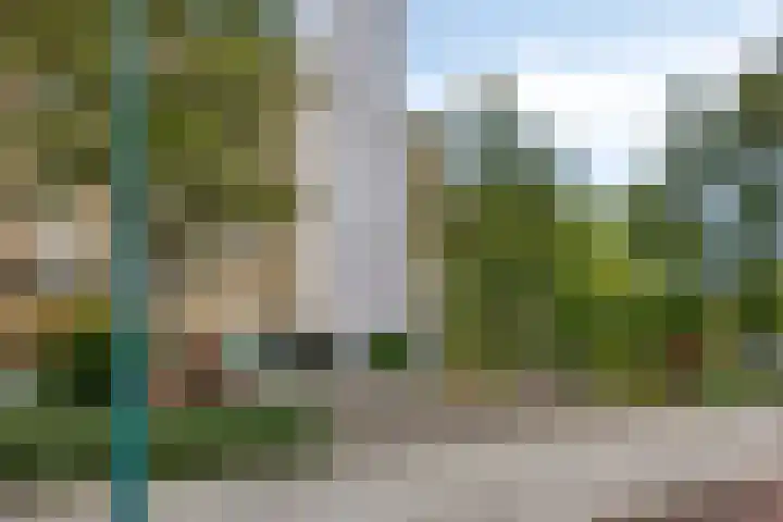 Frans Halslaan 191 Oegstgeest thumbnail 4
