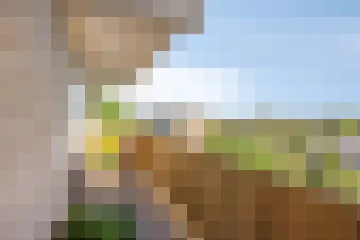 Frans Halslaan 191 Oegstgeest thumbnail 8