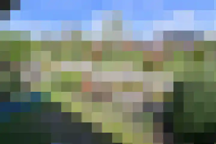 Frans Halslaan 2 a Loosdrecht thumbnail 13