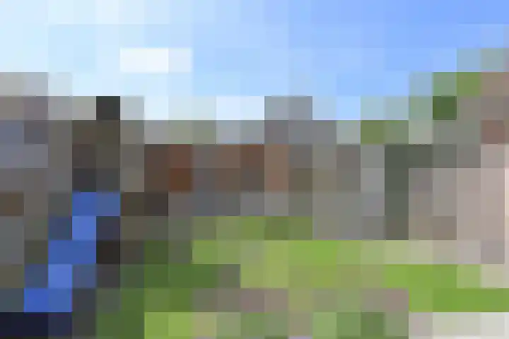 Frans Halslaan 2 a Loosdrecht thumbnail 23