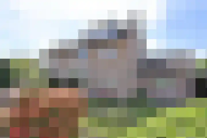 Frans Halslaan 2 a Loosdrecht thumbnail 38