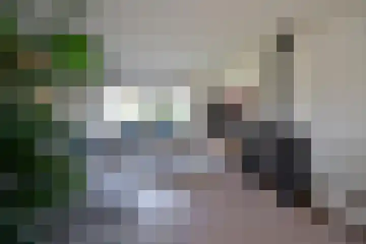 Frans Halslaan 2 a Loosdrecht thumbnail 4