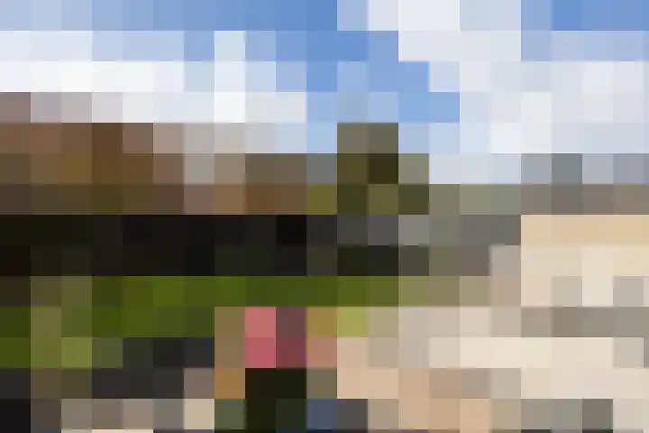 Frans Halslaan 20 Loosdrecht thumbnail 41