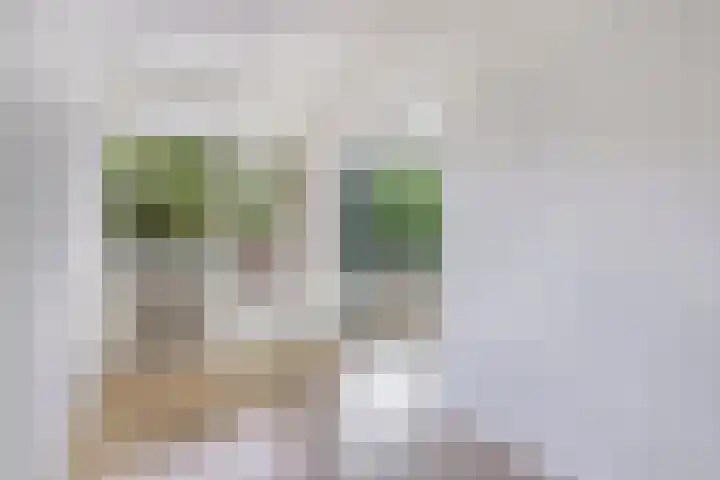 Frans Halslaan 203 Oegstgeest thumbnail 12