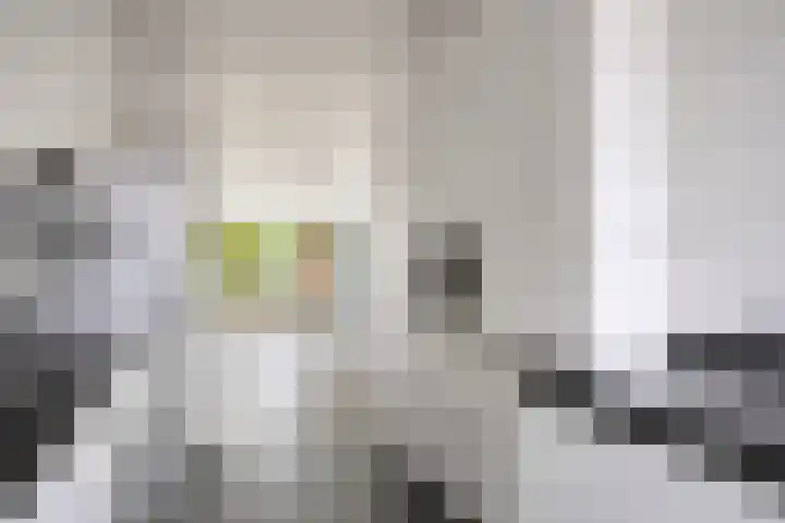 Frans Halslaan 203 Oegstgeest thumbnail 14
