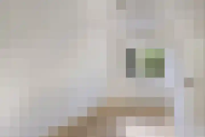 Frans Halslaan 203 Oegstgeest thumbnail 19