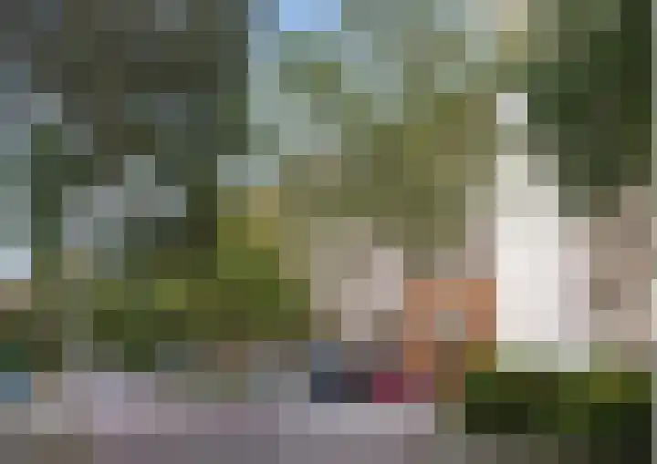 Frans Halslaan 203 Oegstgeest thumbnail 24