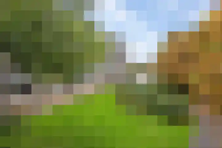 Frans Halslaan 203 Oegstgeest thumbnail 26