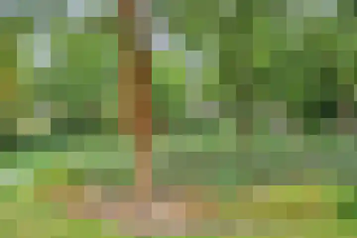Frans Halslaan 203 Oegstgeest thumbnail 28