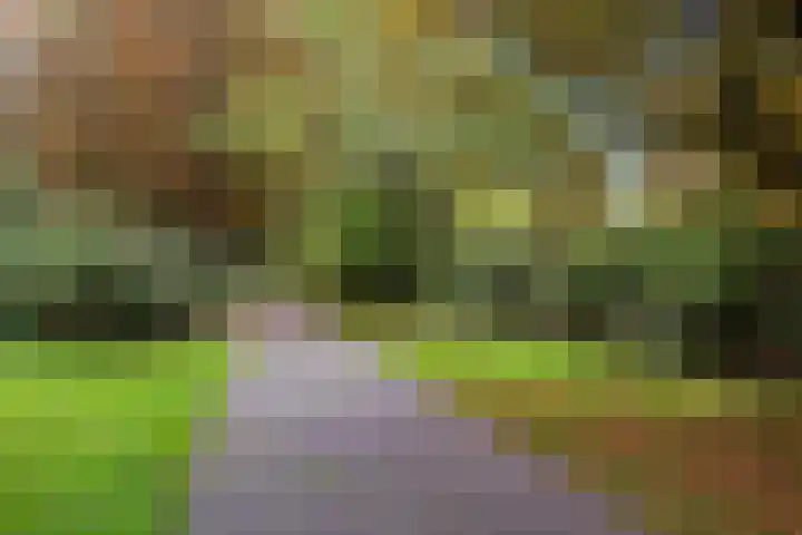 Frans Halslaan 203 Oegstgeest thumbnail 29