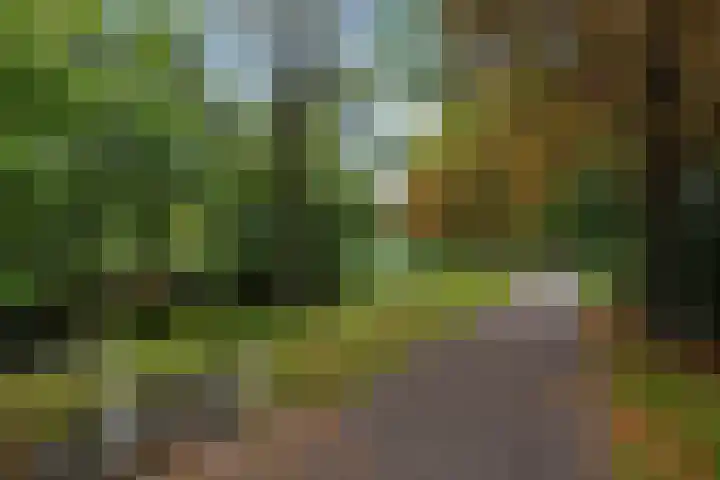 Frans Halslaan 203 Oegstgeest thumbnail 30