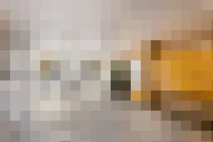 Frans Halslaan 203 Oegstgeest thumbnail 4