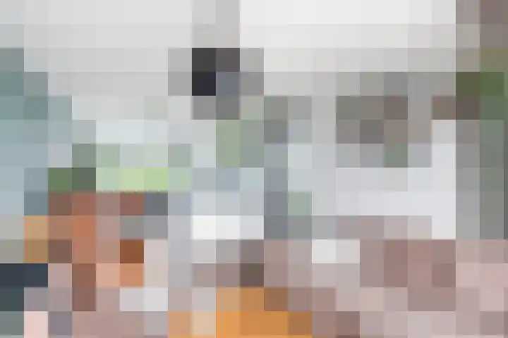 Frans Halslaan 21 C Maassluis thumbnail 11