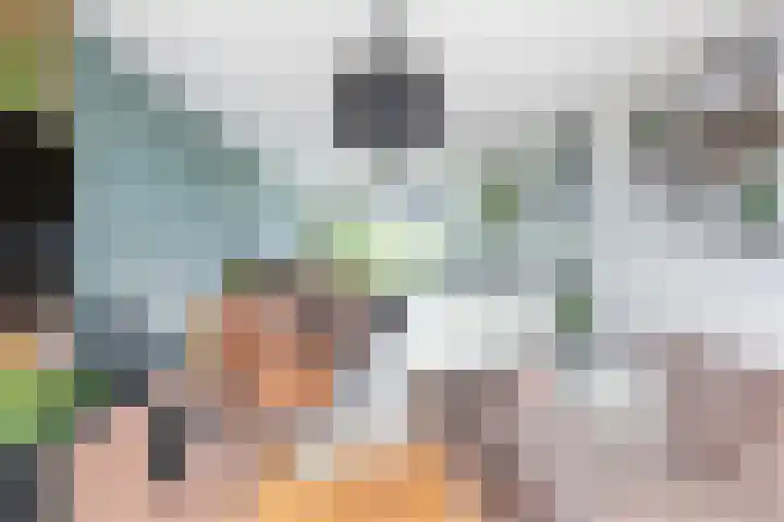 Frans Halslaan 21 C Maassluis thumbnail 12