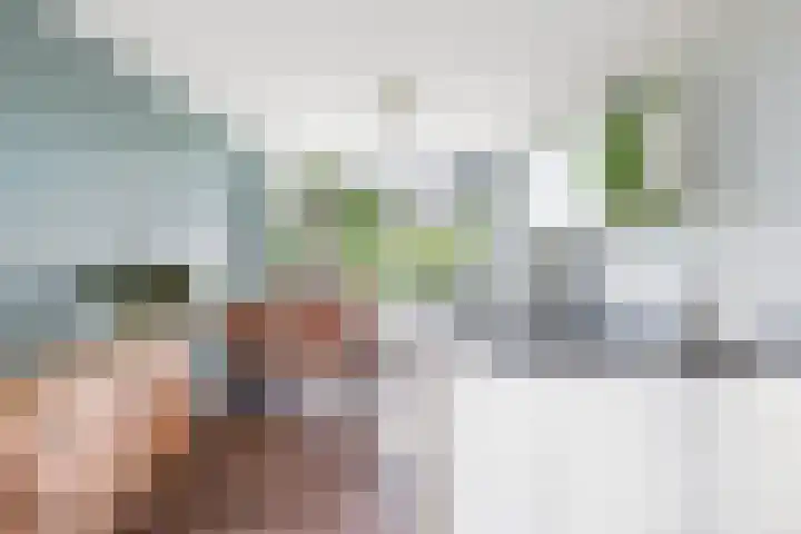 Frans Halslaan 21 C Maassluis thumbnail 13
