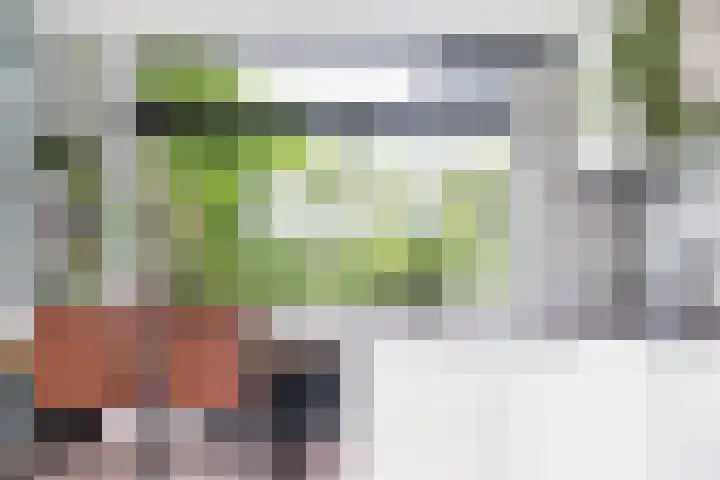 Frans Halslaan 21 C Maassluis thumbnail 14