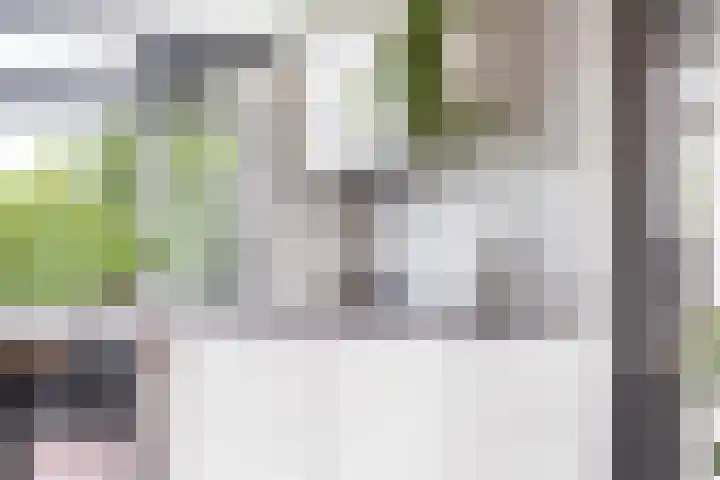 Frans Halslaan 21 C Maassluis thumbnail 15