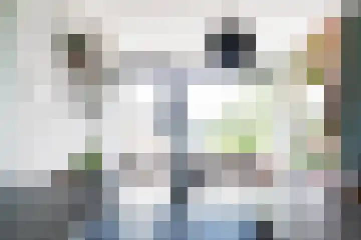 Frans Halslaan 21 C Maassluis thumbnail 16