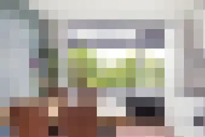 Frans Halslaan 21 C Maassluis thumbnail 17