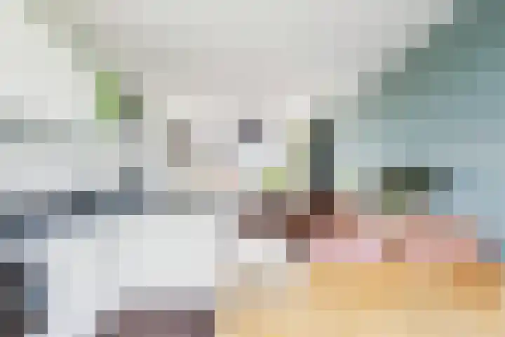 Frans Halslaan 21 C Maassluis thumbnail 18