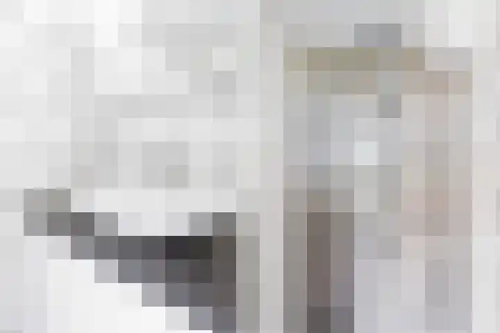 Frans Halslaan 21 C Maassluis thumbnail 24