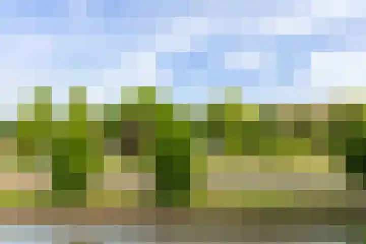 Frans Halslaan 21 C Maassluis thumbnail 26