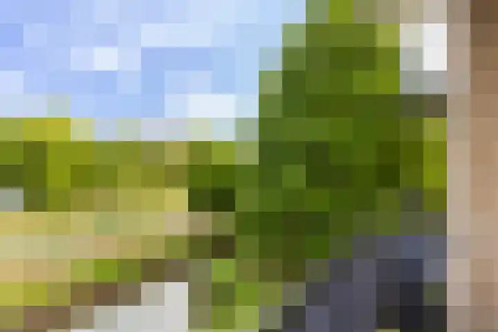 Frans Halslaan 21 C Maassluis thumbnail 27