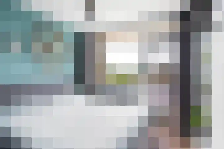 Frans Halslaan 21 C Maassluis thumbnail 28