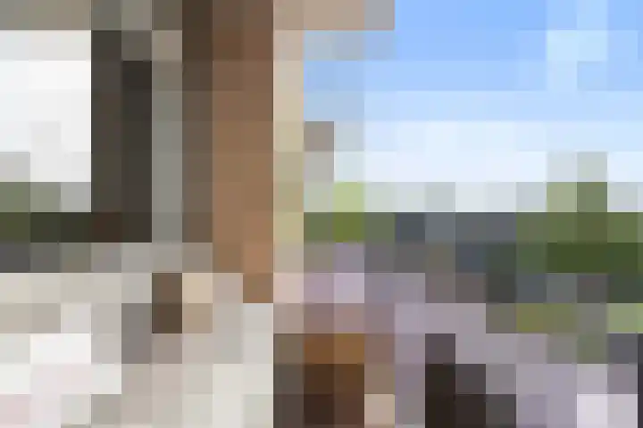 Frans Halslaan 21 C Maassluis thumbnail 31