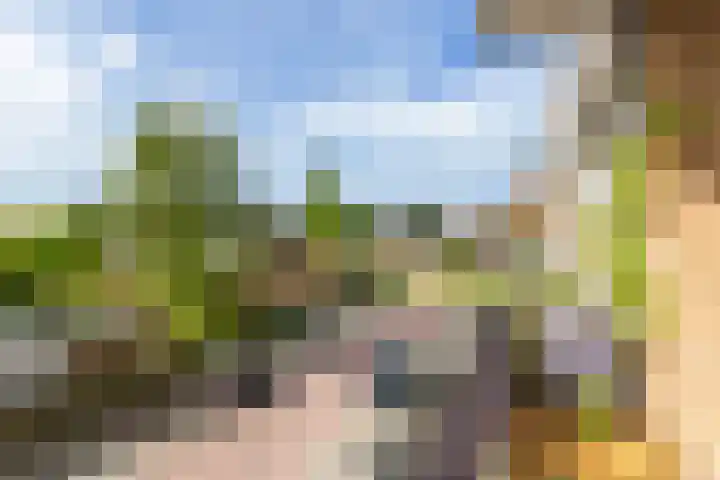 Frans Halslaan 21 C Maassluis thumbnail 32