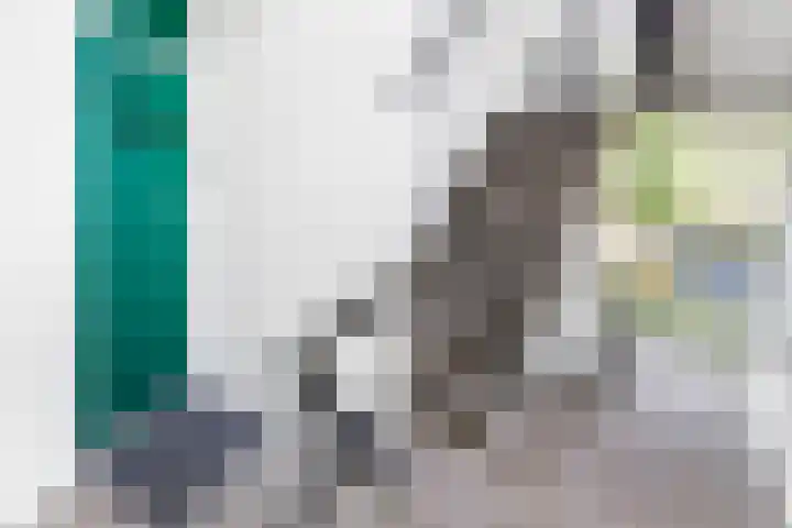 Frans Halslaan 21 C Maassluis thumbnail 33