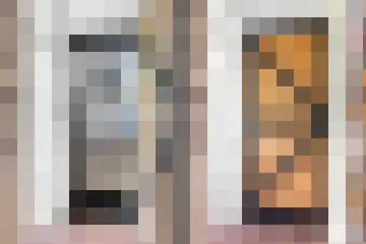 Frans Halslaan 21 C Maassluis thumbnail 4