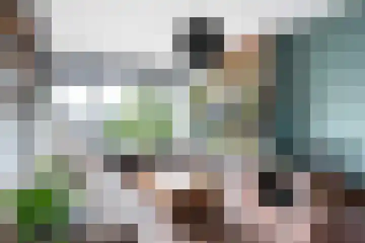 Frans Halslaan 21 C Maassluis thumbnail 7