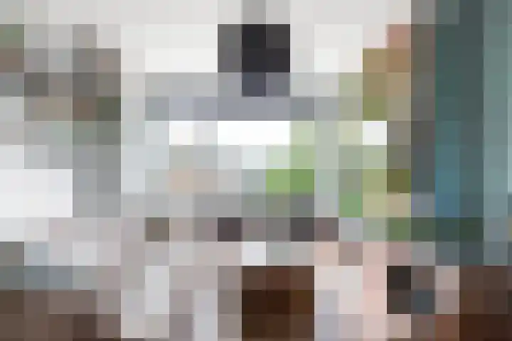Frans Halslaan 21 C Maassluis thumbnail 8