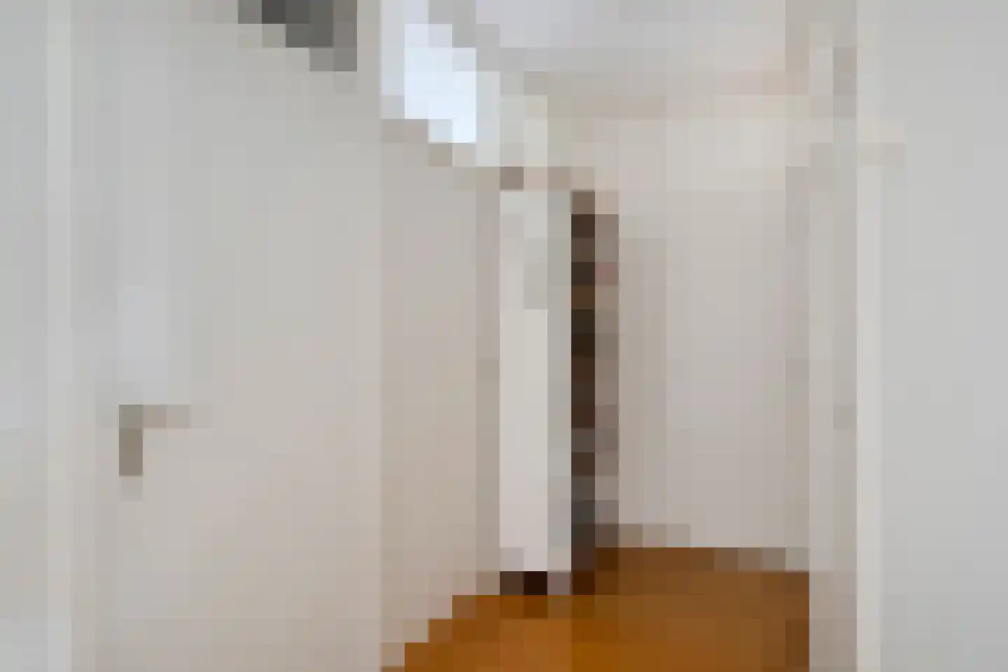 Frans Halslaan 211 Oegstgeest thumbnail 16