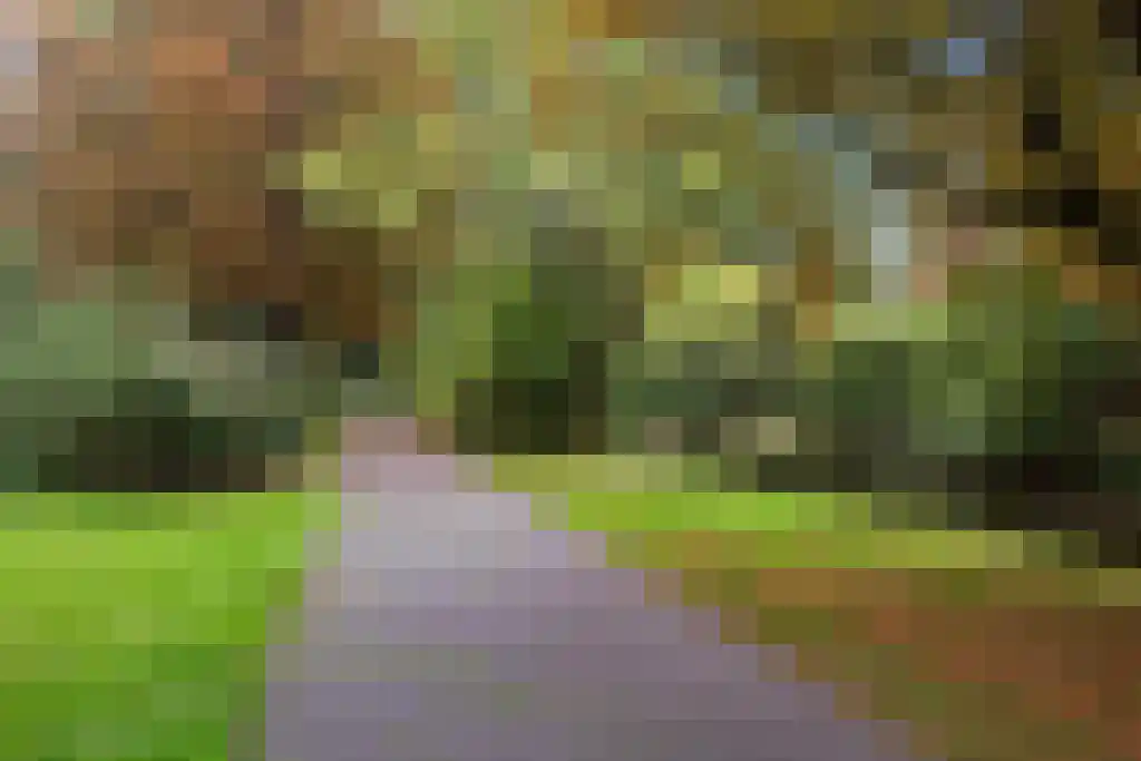 Frans Halslaan 211 Oegstgeest thumbnail 25