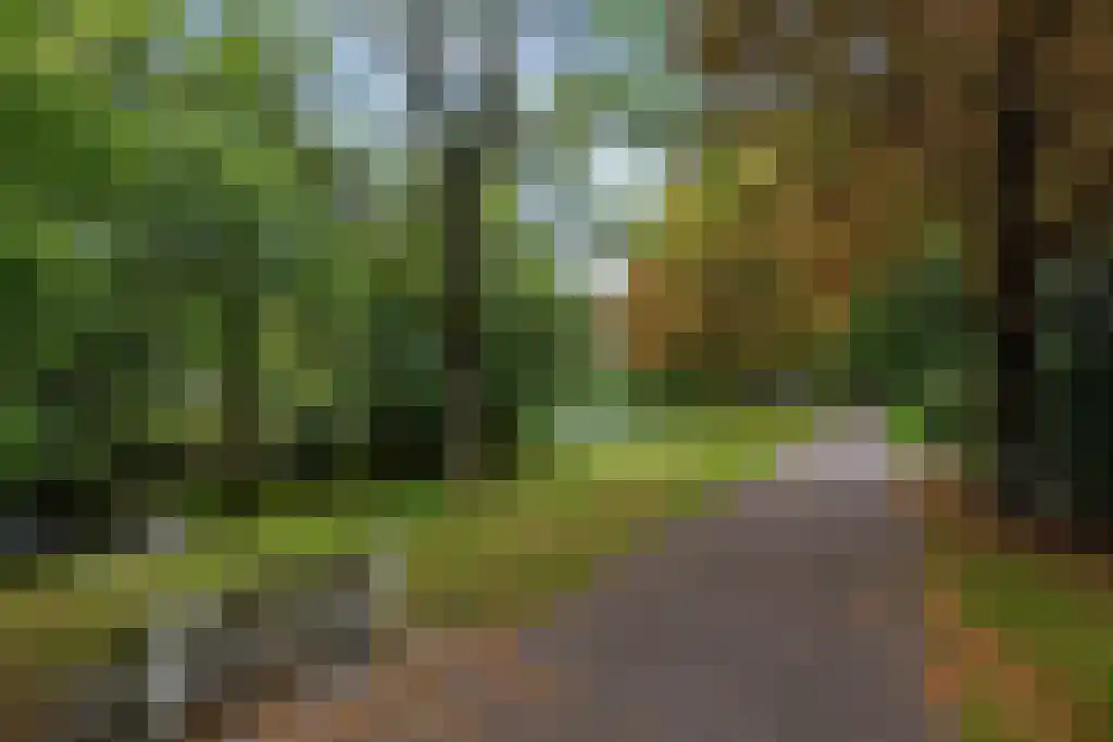 Frans Halslaan 211 Oegstgeest thumbnail 26