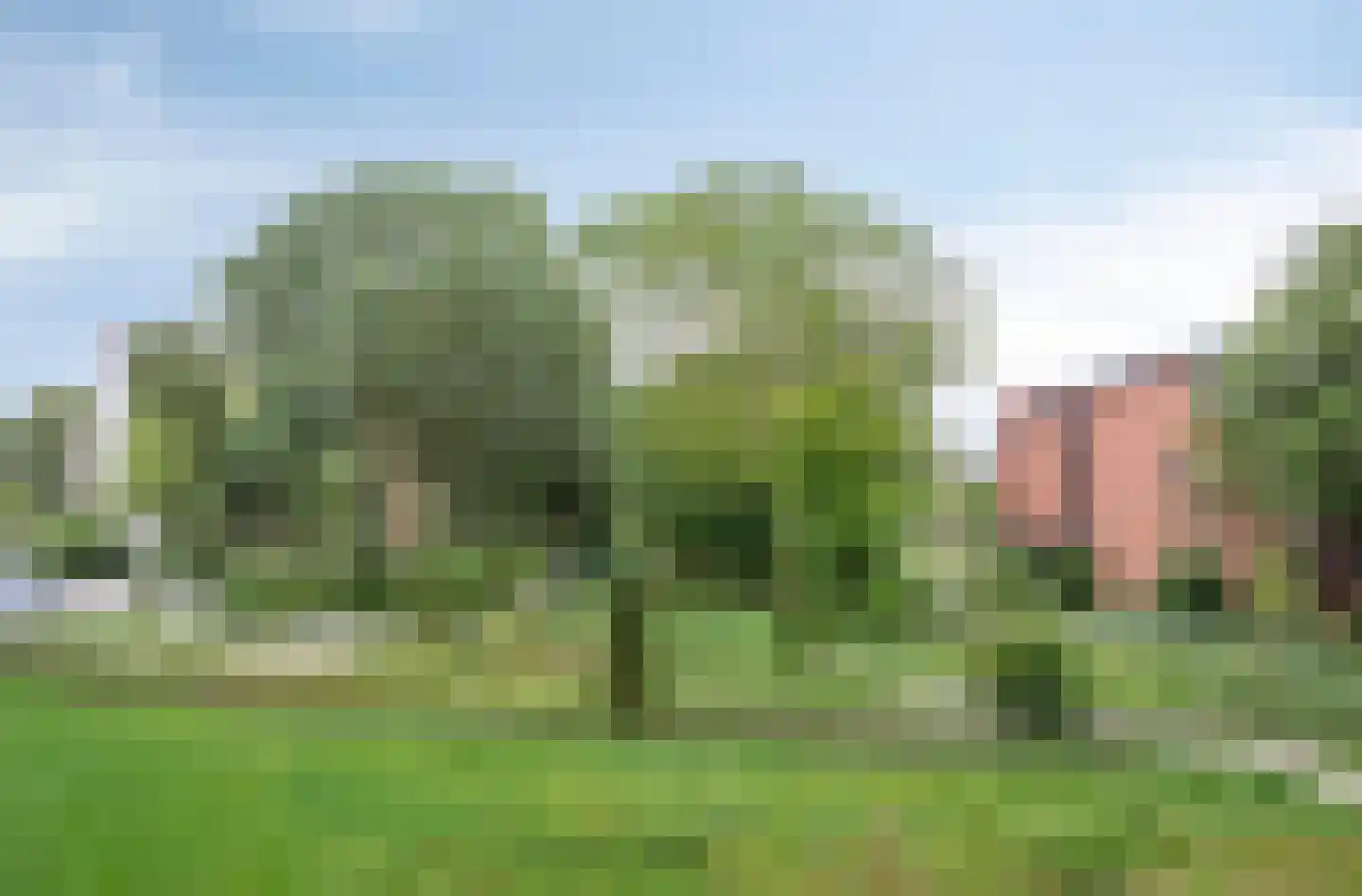 Frans Halslaan 211 Oegstgeest foto 3