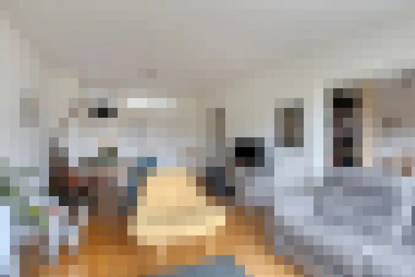 Frans Halslaan 211 Oegstgeest thumbnail 9