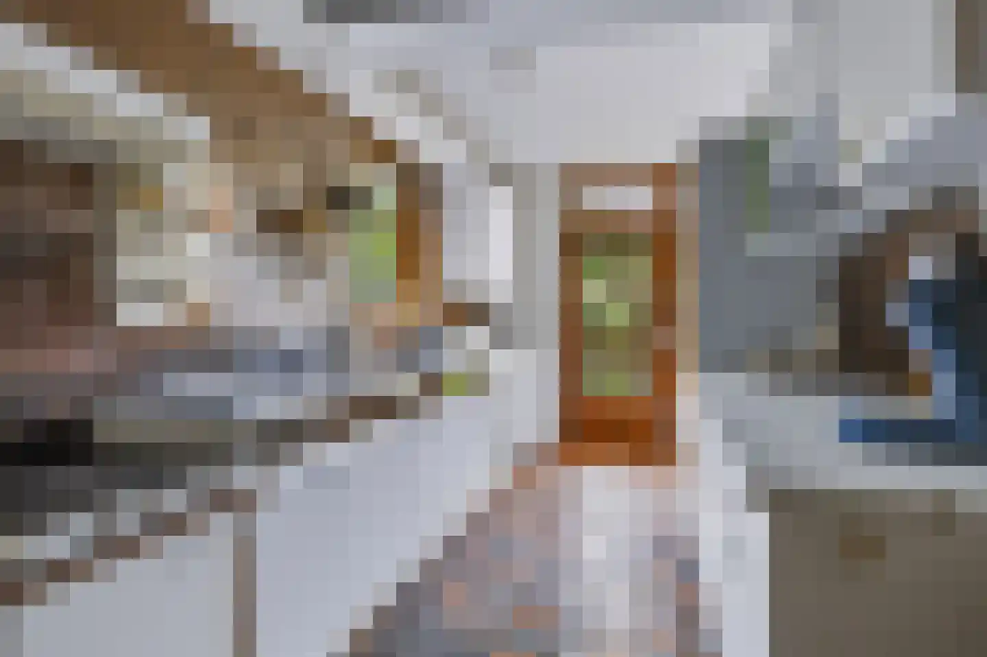 Frans Halslaan 22 Naarden thumbnail 16