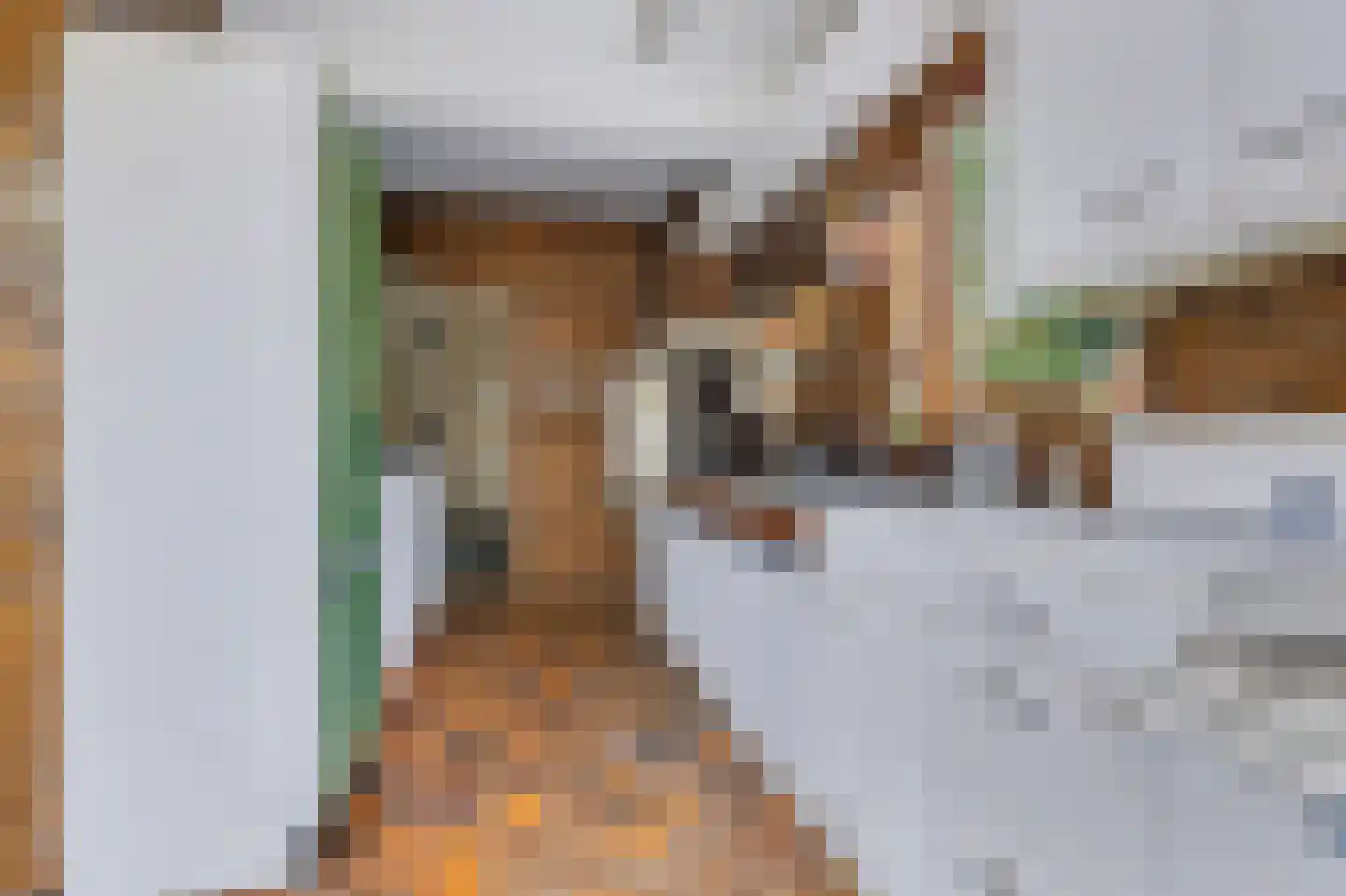 Frans Halslaan 22 Naarden thumbnail 17