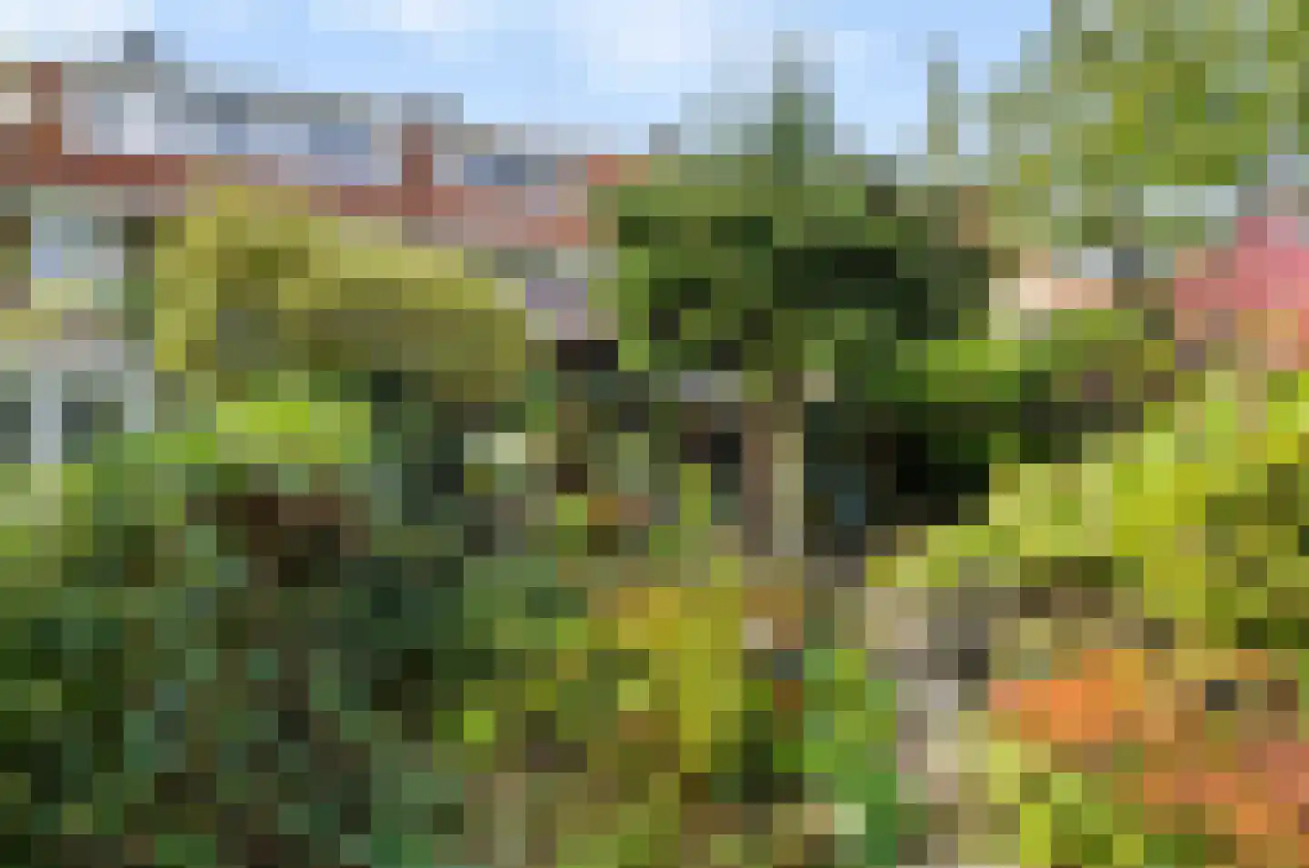 Frans Halslaan 22 Naarden thumbnail 35