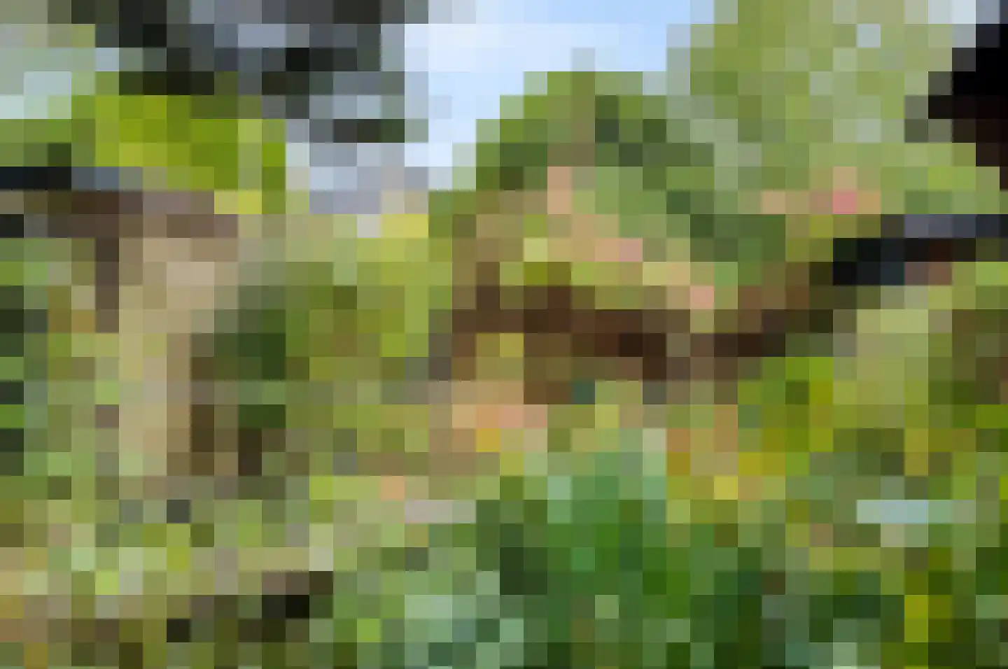 Frans Halslaan 22 Naarden thumbnail 36