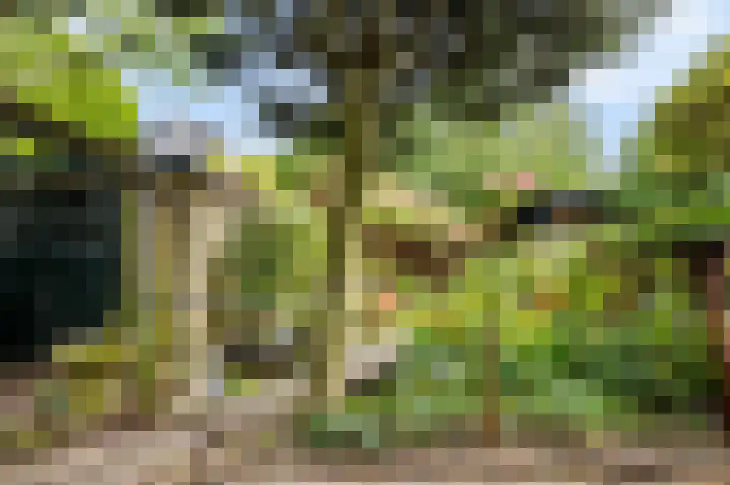 Frans Halslaan 22 Naarden thumbnail 37