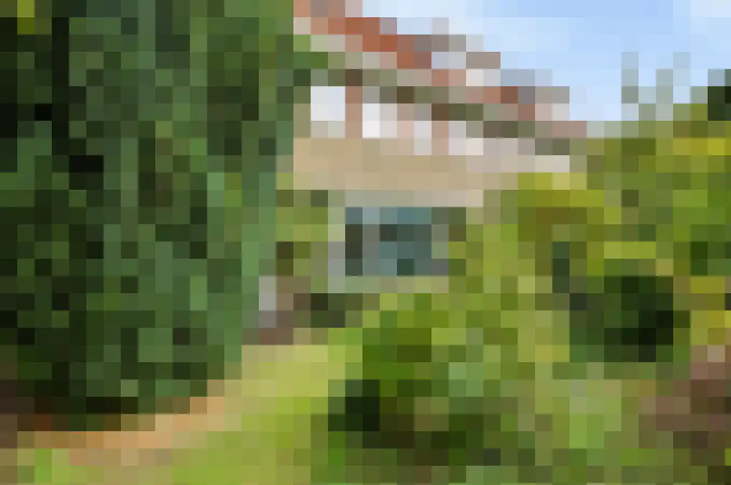 Frans Halslaan 22 Naarden thumbnail 4